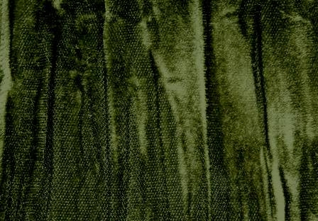 Olive Grove Olive Grove
