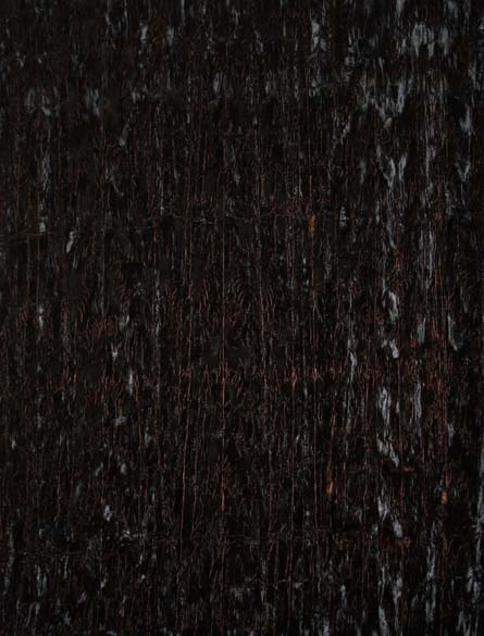 Persia/Crushed Velvet Midnight 1124/MIDN/A