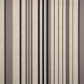 Classico Stripe *NEW