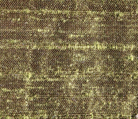 Avacado Avacado