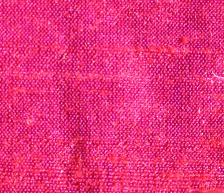 Fuchsia Fuchsia
