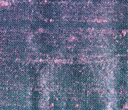 Violet Violet