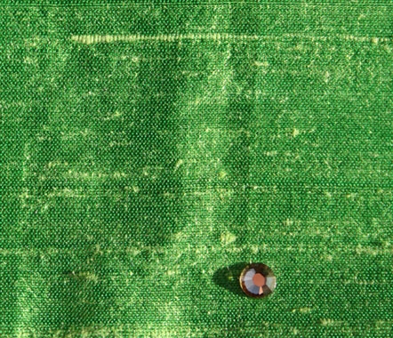 Parrot Green Parrot Green