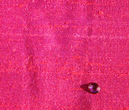 Fuchsia Fuchsia