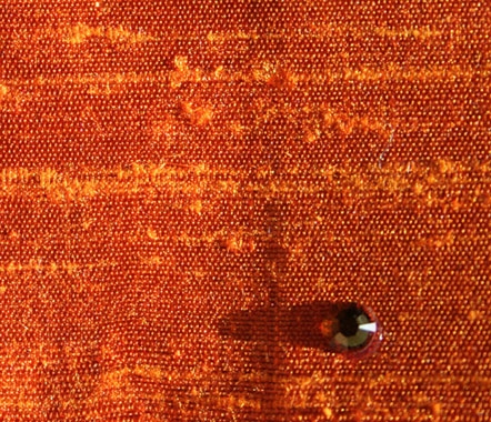 Paprika Paprika