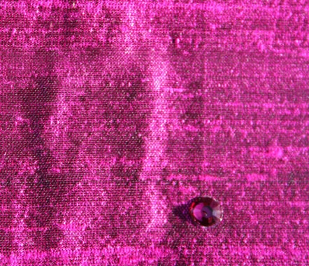 Silk Rose Silk Rose