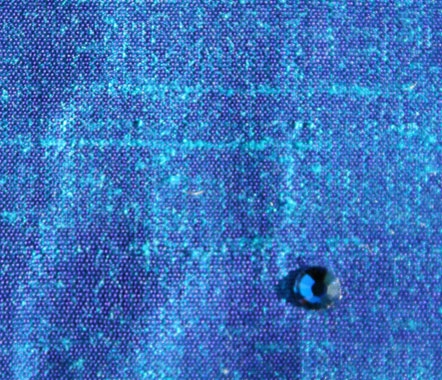 Parrot Blue Parrot Blue