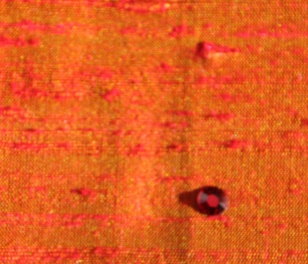 Tangerine Tangerine