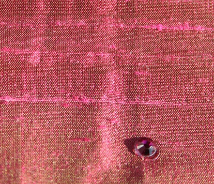 Velvet Rose Velvet Rose