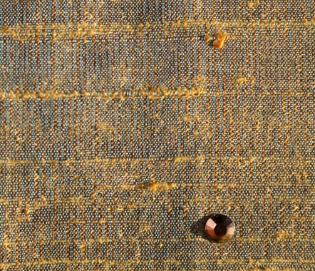 Golden Shadow Golden Shadow