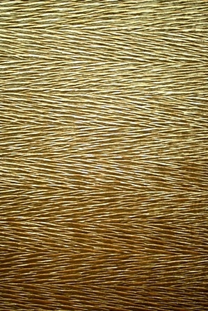 Gold Bark