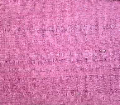 Rosa Rosa