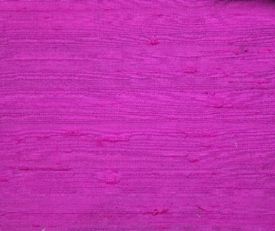 Viola Viola