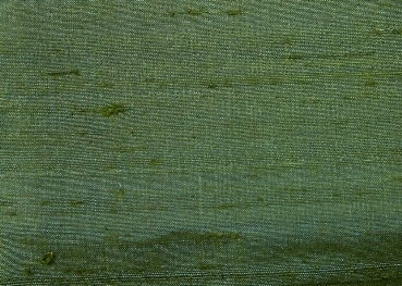 Fern green Fern green