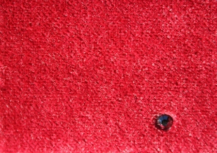 Maroon Maroon