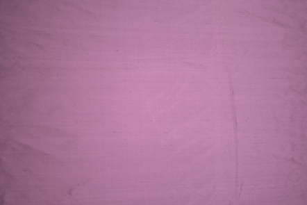 Lilac Lilac
