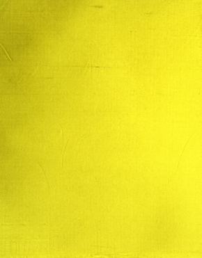 Lemon Lemon