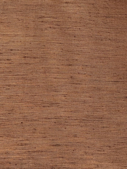 Cinnamon Cinnamon
