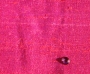 Fuchsia Fuchsia