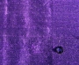 Indigo Indigo