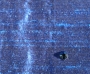 Ocean Blue Ocean Blue
