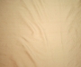 Cream Cream