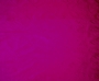 Plum Plum